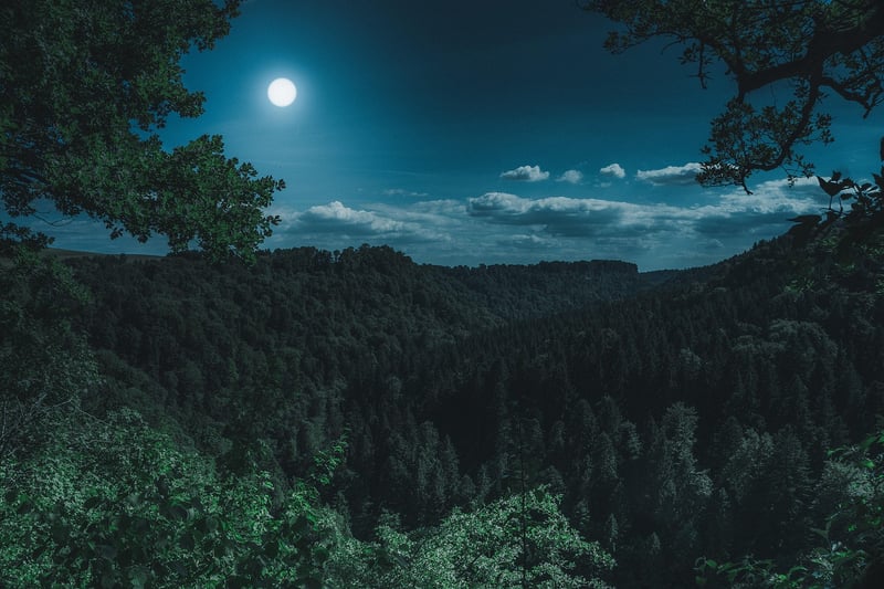 Full Moon Favors